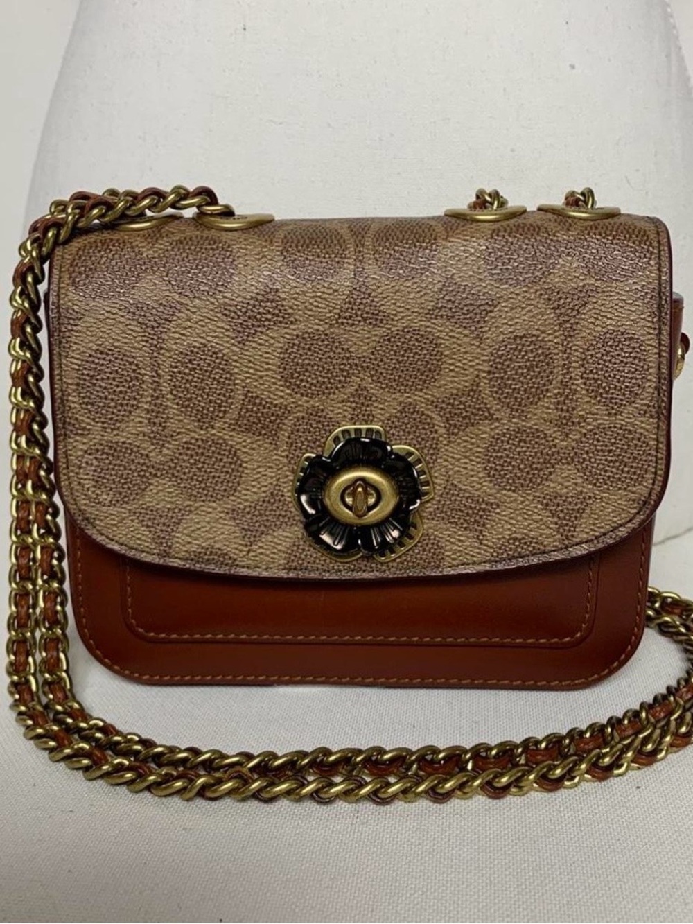 Signature Canvas Crossbody Bag in Brown